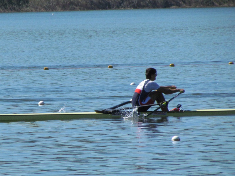 varese4